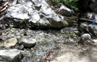 Cucamonga Peak, Flowing Creek – Trail Video
