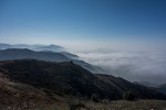 DSC00101